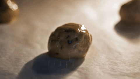 Fancy a fresh cookie?